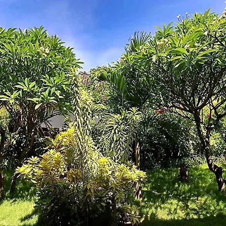Kirana Homestay Queen Guest Room